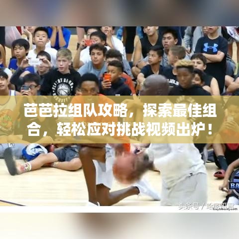 芭芭拉组队攻略，探索最佳组合，轻松应对挑战视频出炉！
