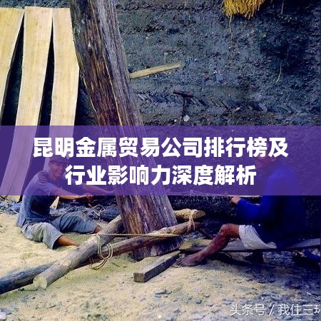 昆明金属贸易公司排行榜及行业影响力深度解析