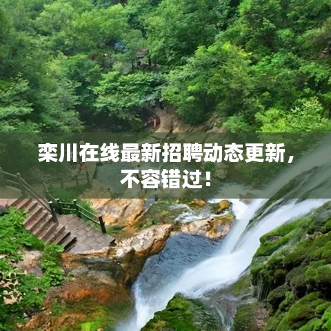 栾川在线最新招聘动态更新，不容错过！