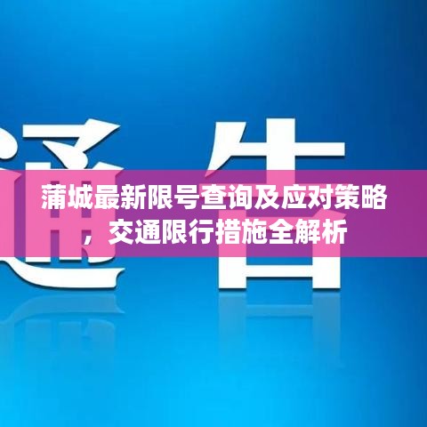 蒲城最新限号查询及应对策略，交通限行措施全解析