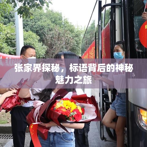 张家界探秘，标语背后的神秘魅力之旅
