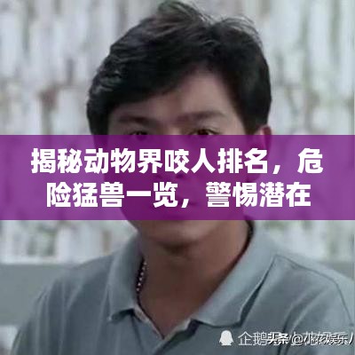 揭秘动物界咬人排名，危险猛兽一览，警惕潜在风险！