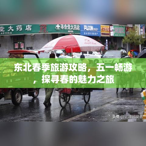 东北春季旅游攻略，五一畅游，探寻春的魅力之旅