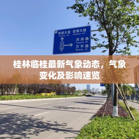 桂林临桂最新气象动态，气象变化及影响速览
