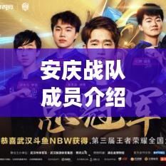 安庆战队成员介绍表全新出炉！