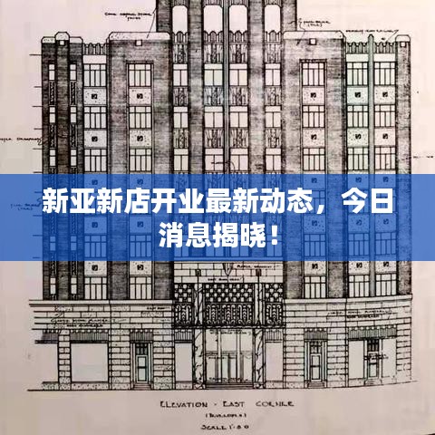 新亚新店开业最新动态，今日消息揭晓！