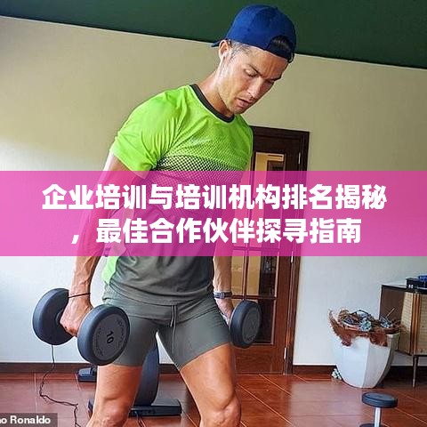 企业培训与培训机构排名揭秘，最佳合作伙伴探寻指南
