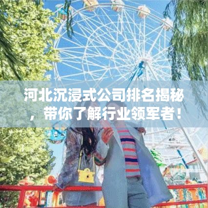 河北沉浸式公司排名揭秘，带你了解行业领军者！