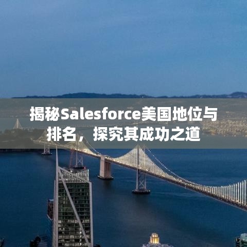 揭秘Salesforce美国地位与排名，探究其成功之道