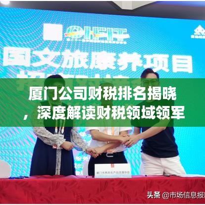 厦门公司财税排名揭晓，深度解读财税领域领军企业