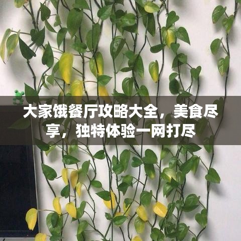 大家饿餐厅攻略大全，美食尽享，独特体验一网打尽