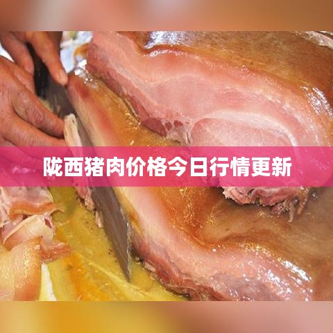 陇西猪肉价格今日行情更新