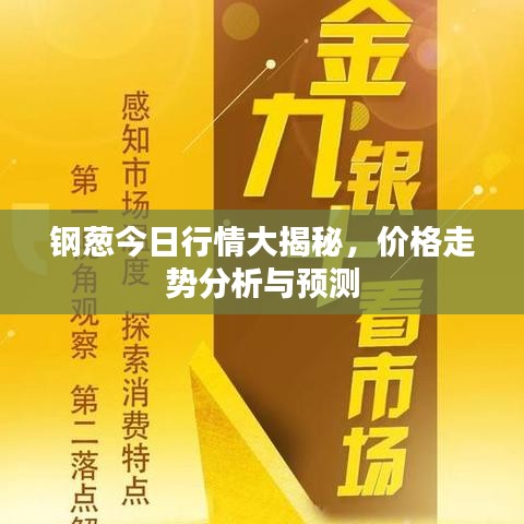 钢葱今日行情大揭秘，价格走势分析与预测