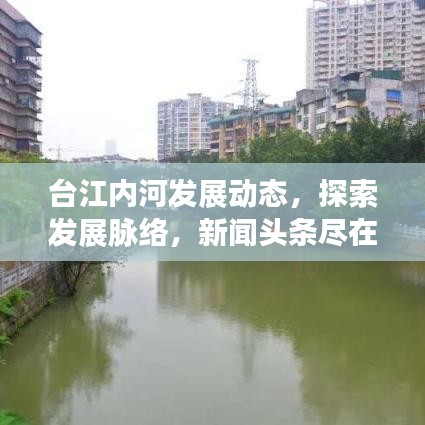 台江内河发展动态，探索发展脉络，新闻头条尽在掌握