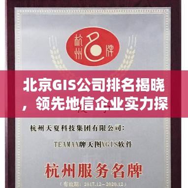 北京GIS公司排名揭晓，领先地信企业实力探索
