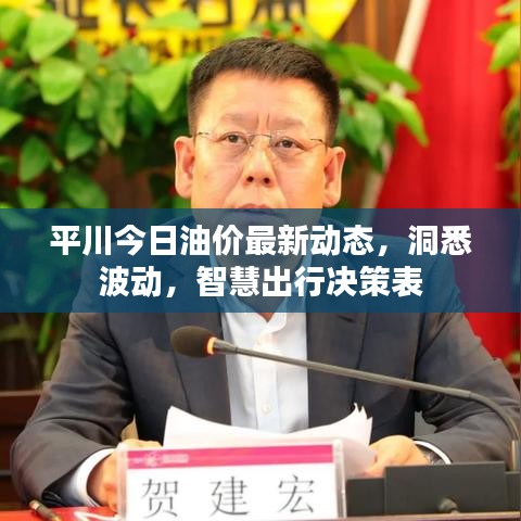 平川今日油价最新动态，洞悉波动，智慧出行决策表