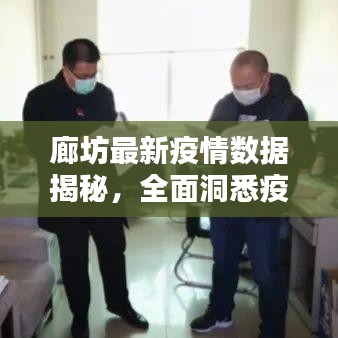 廊坊最新疫情数据揭秘，全面洞悉疫情防控现状