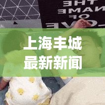 上海丰城最新新闻头条，揭秘城市新动向与发展亮点
