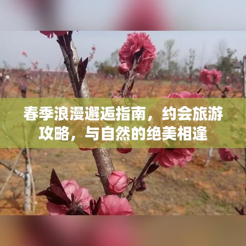 春季浪漫邂逅指南，约会旅游攻略，与自然的绝美相逢