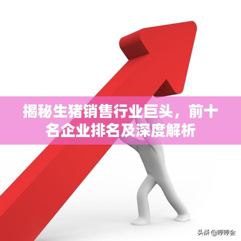 揭秘生猪销售行业巨头，前十名企业排名及深度解析