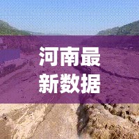 河南最新数据通报揭示发展新动向