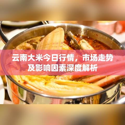 云南大米今日行情，市场走势及影响因素深度解析