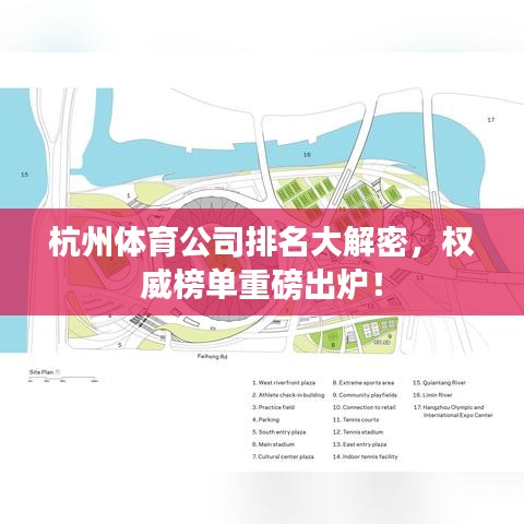 杭州体育公司排名大解密，权威榜单重磅出炉！