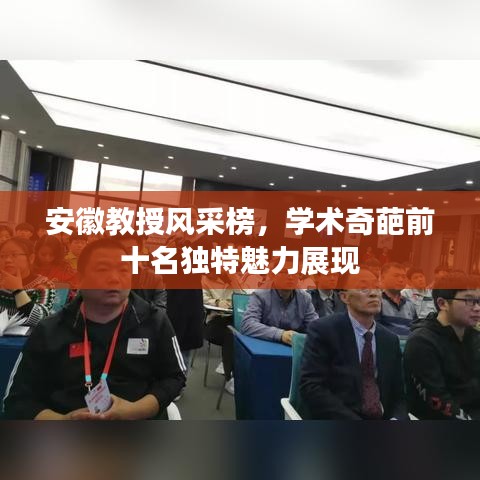 安徽教授风采榜，学术奇葩前十名独特魅力展现