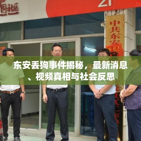东安丢狗事件揭秘，最新消息、视频真相与社会反思