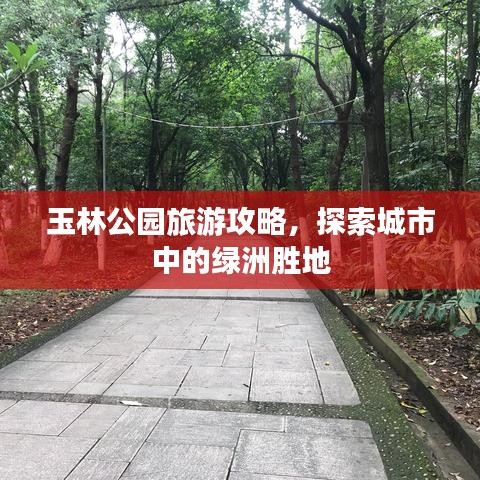 玉林公园旅游攻略，探索城市中的绿洲胜地