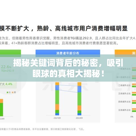 揭秘关键词背后的秘密，吸引眼球的真相大揭秘！