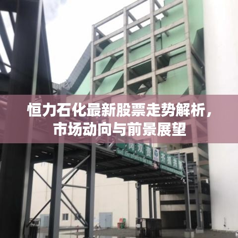 恒力石化最新股票走势解析，市场动向与前景展望