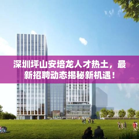 深圳坪山安培龙人才热土，最新招聘动态揭秘新机遇！