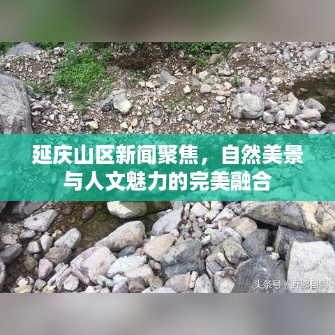 延庆山区新闻聚焦，自然美景与人文魅力的完美融合