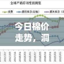 今日棉价走势，洞悉市场动态，百度权威数据一搜便知