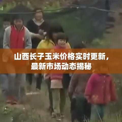 山西长子玉米价格实时更新，最新市场动态揭秘