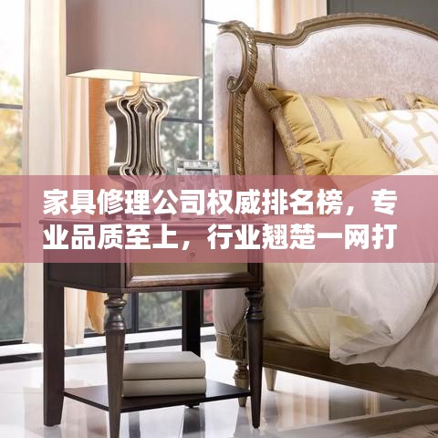 家具修理公司权威排名榜，专业品质至上，行业翘楚一网打尽！