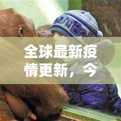 全球最新疫情更新，今日疫情通报速览