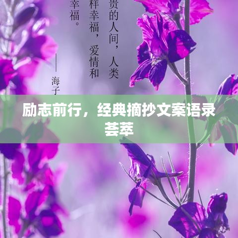 励志前行，经典摘抄文案语录荟萃