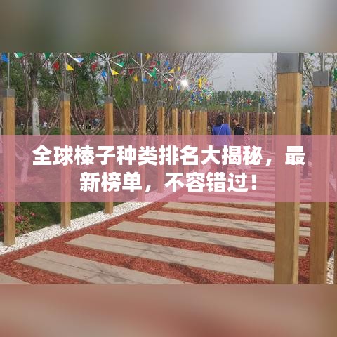 全球榛子种类排名大揭秘，最新榜单，不容错过！