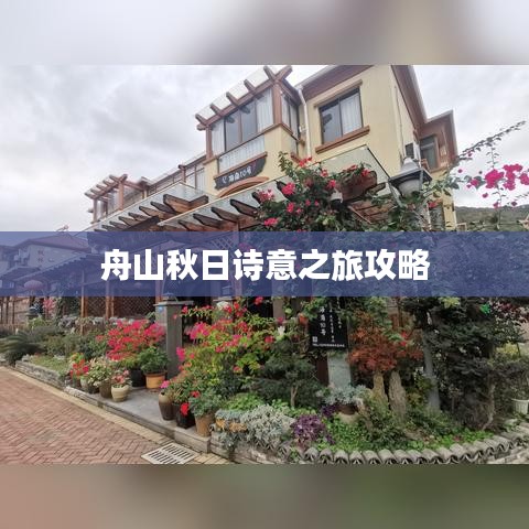 舟山秋日诗意之旅攻略