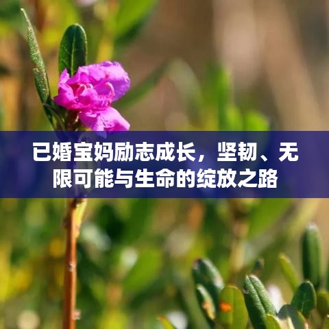 已婚宝妈励志成长，坚韧、无限可能与生命的绽放之路