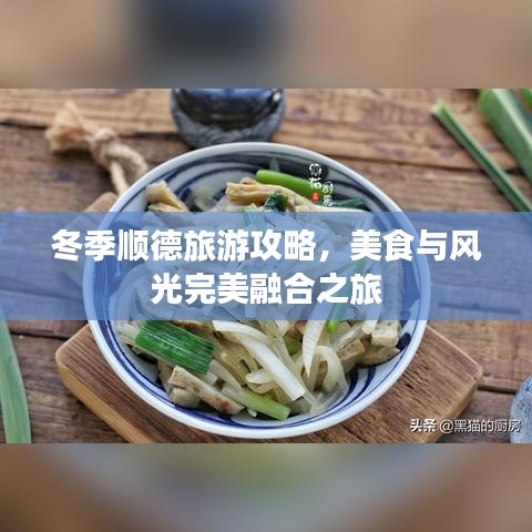 冬季顺德旅游攻略，美食与风光完美融合之旅