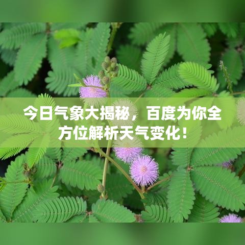 今日气象大揭秘，百度为你全方位解析天气变化！