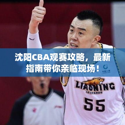 沈阳CBA观赛攻略，最新指南带你亲临现场！