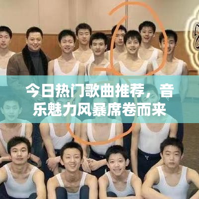 今日热门歌曲推荐，音乐魅力风暴席卷而来