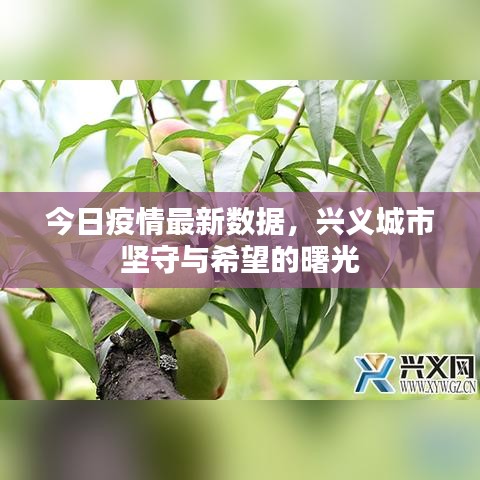 今日疫情最新数据，兴义城市坚守与希望的曙光
