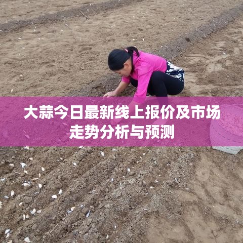 大蒜今日最新线上报价及市场走势分析与预测