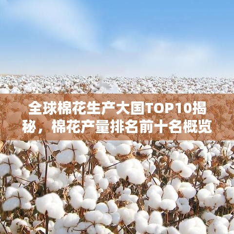 全球棉花生产大国TOP10揭秘，棉花产量排名前十名概览