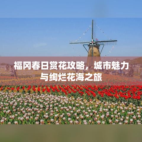 福冈春日赏花攻略，城市魅力与绚烂花海之旅